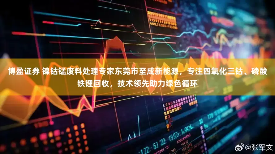 博盈证券 镍钴锰废料处理专家东莞市至成新能源，专注四氧化三钴、磷酸铁锂回收，技术领先助力绿色循环